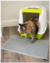 Pawsome Pawprints Absorbent Litter Mat