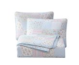 Floral Pre-Washed Cotton Quilt Set in Blue and Pink