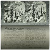 Glacier Trails Stereoview Card Set