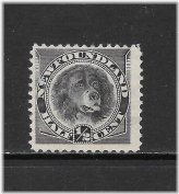 Newfoundland Dog Stamp - 1894 1/2c Black Issue