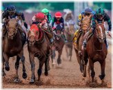 Derby Winner Tribute Photo: Mystic Dan 2024