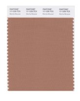 Color Swatch Card Mocha Mousse