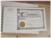 Wyanet Electric Light Company Stock Certificates Collection