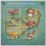 Zambian Mushroom Marvels Stamp Collection