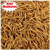 Winged Delight Dried Mealworms