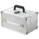 Silver Beauty Train Case