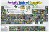 Cannabis Chemistry Chart: A High-Quality Art Poster for Science and Pot Lovers