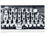 Reds' '56 Team Snapshot