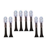 Black DiamondClean G3 Replacement Heads