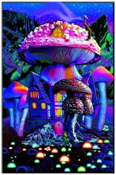 Enchanted Fungi" - High-Quality Art Poster