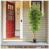 Silk Ficus Tree Decor