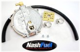 Fuel Flex Kit for Firman Generators