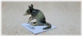 Armadillo Burrow Miniature Figurine