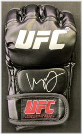 Champion's Marked Glove