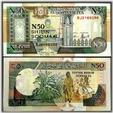 Exquisite Somalia 50 Shillings 1991 Banknote