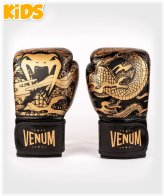 Dragon Flight Youth Boxing Gloves - Black/Bronze