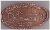 Aqua Croc Elongated Penny