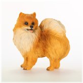 Whimsical Pomeranian Delight