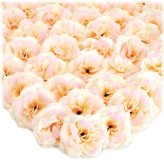 Champagne Bloom Collection - 50 Stemless Silk Cloth Roses