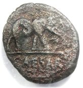 Julius Caesar Silver Elephant Denarius Coin - 49 BC NGC Certified VF