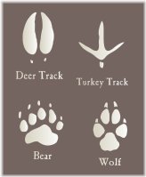 Wildlife Tracks Stencils