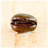 Golden Bourbon Peaberry Coffee Beans