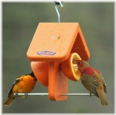 Sunset Oriole Fruit Feeder