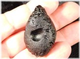 Tektite Teardrop Specimen