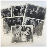 The Green Buddha Collection