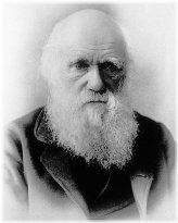 Darwin's Silver Halide Portrait Print