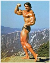Musclebound Arnold: Capturing the Iconic
