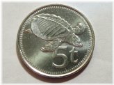 Turtle Beauty Coin