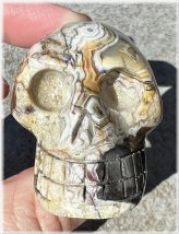 Lace Agate Harmony Skull
