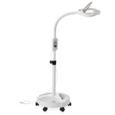 BrightView Magnifier Floor Lamp