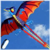 Dragon's Flight Kite