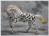 Leopard Appaloosa Knabstrupper Mare Toy Figure by CollectA