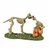Spooky Playful Pets Accessory