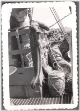 Coastal Seafaring Relics Collection