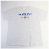 Spartans Gildan Heavy Cotton Men's Gray Shirt