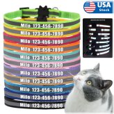 Reflective Kitten Collar with Personalized Tag and Bell