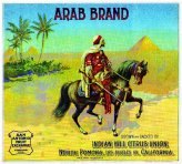 Pyramid Citrus Crate Label Art Print