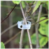 Garden Buddy Plant Clips and Twine Set