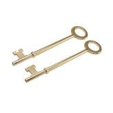 Antique Skeleton Key Duo