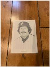 Schmidt's Snapshot: 1970's Philadelphia Phillies Card