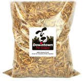 Mealworm Delight Natural Treats for Your Feathered Friends