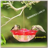 Rose Petal Hummingbird Feeder