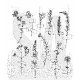 Enchanted Garden" Stamp Set