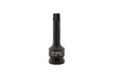 Impact Torx Socket Bit Set