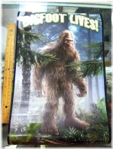 Enchanted Wilderness Wall Art