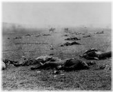 Harvest of Death - Battle of Gettysburg Reproduction Print #15